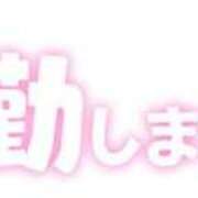 ヒメ日記 2023/12/01 09:02 投稿 海音【あまね】 丸妻 西船橋店