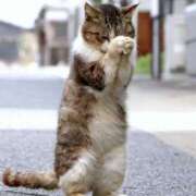 ヒメ日記 2024/12/14 06:54 投稿 海音【あまね】 丸妻 西船橋店