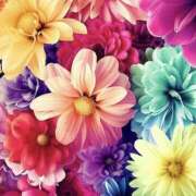 ヒメ日記 2024/12/24 15:56 投稿 海音【あまね】 丸妻 西船橋店