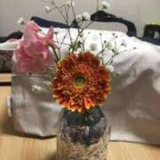 ヒメ日記 2025/01/17 07:05 投稿 海音【あまね】 丸妻 西船橋店