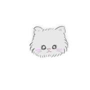 ヒメ日記 2025/02/22 18:53 投稿 海音【あまね】 丸妻 西船橋店