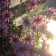 ヒメ日記 2025/03/26 19:58 投稿 海音【あまね】 丸妻 西船橋店