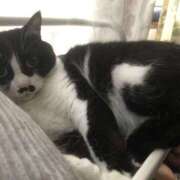 ヒメ日記 2025/07/04 16:52 投稿 海音【あまね】 丸妻 西船橋店