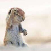 ヒメ日記 2025/07/18 13:57 投稿 海音【あまね】 丸妻 西船橋店