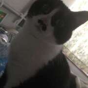 ヒメ日記 2025/07/27 05:07 投稿 海音【あまね】 丸妻 西船橋店