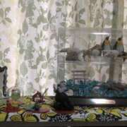 ヒメ日記 2025/08/02 10:06 投稿 海音【あまね】 丸妻 西船橋店