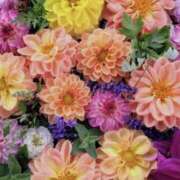 ヒメ日記 2025/08/11 09:32 投稿 海音【あまね】 丸妻 西船橋店