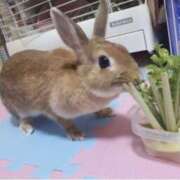 ヒメ日記 2025/08/12 18:48 投稿 海音【あまね】 丸妻 西船橋店