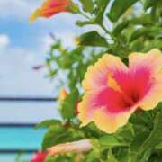 ヒメ日記 2025/08/15 11:34 投稿 海音【あまね】 丸妻 西船橋店