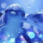 ヒメ日記 2025/08/21 16:54 投稿 海音【あまね】 丸妻 西船橋店