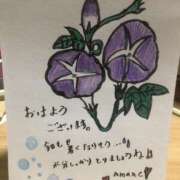 ヒメ日記 2025/08/23 07:02 投稿 海音【あまね】 丸妻 西船橋店