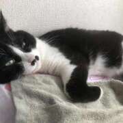 ヒメ日記 2025/08/23 12:24 投稿 海音【あまね】 丸妻 西船橋店