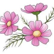 ヒメ日記 2025/08/25 15:16 投稿 海音【あまね】 丸妻 西船橋店