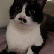 ヒメ日記 2025/08/27 04:44 投稿 海音【あまね】 丸妻 西船橋店