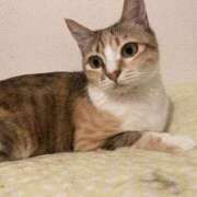 ヒメ日記 2025/09/02 07:24 投稿 海音【あまね】 丸妻 西船橋店