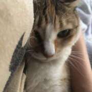 ヒメ日記 2025/09/06 19:31 投稿 海音【あまね】 丸妻 西船橋店