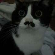 ヒメ日記 2025/09/17 19:58 投稿 海音【あまね】 丸妻 西船橋店