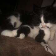 ヒメ日記 2025/09/24 21:49 投稿 海音【あまね】 丸妻 西船橋店