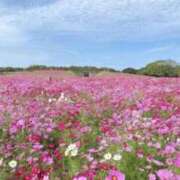 ヒメ日記 2025/09/28 08:07 投稿 海音【あまね】 丸妻 西船橋店