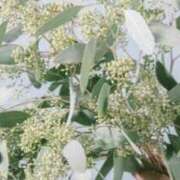 ヒメ日記 2025/10/01 16:00 投稿 海音【あまね】 丸妻 西船橋店