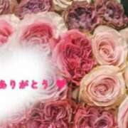 ヒメ日記 2025/10/15 16:09 投稿 海音【あまね】 丸妻 西船橋店