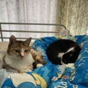 ヒメ日記 2025/10/24 01:35 投稿 海音【あまね】 丸妻 西船橋店