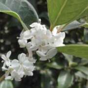 ヒメ日記 2025/10/28 09:04 投稿 海音【あまね】 丸妻 西船橋店