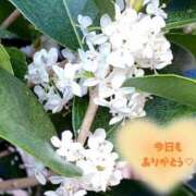 ヒメ日記 2025/10/29 16:09 投稿 海音【あまね】 丸妻 西船橋店