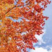 ヒメ日記 2025/10/30 13:51 投稿 海音【あまね】 丸妻 西船橋店