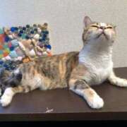 ヒメ日記 2025/11/03 18:36 投稿 海音【あまね】 丸妻 西船橋店