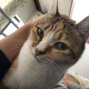 ヒメ日記 2025/11/09 12:38 投稿 海音【あまね】 丸妻 西船橋店