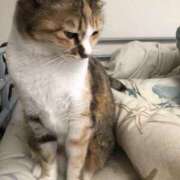 ヒメ日記 2025/11/12 13:29 投稿 海音【あまね】 丸妻 西船橋店