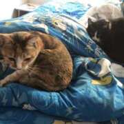 ヒメ日記 2025/11/14 11:36 投稿 海音【あまね】 丸妻 西船橋店