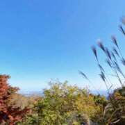 ヒメ日記 2025/11/15 11:10 投稿 海音【あまね】 丸妻 西船橋店