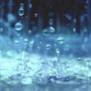 ヒメ日記 2025/11/19 03:56 投稿 海音【あまね】 丸妻 西船橋店