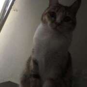 ヒメ日記 2025/11/24 06:18 投稿 海音【あまね】 丸妻 西船橋店