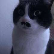 ヒメ日記 2025/11/30 06:47 投稿 海音【あまね】 丸妻 西船橋店