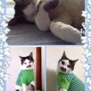 ヒメ日記 2025/12/04 07:14 投稿 海音【あまね】 丸妻 西船橋店