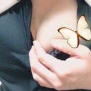 ヒメ日記 2025/12/05 07:37 投稿 海音【あまね】 丸妻 西船橋店