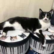 ヒメ日記 2025/12/07 21:19 投稿 海音【あまね】 丸妻 西船橋店