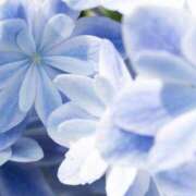 ヒメ日記 2025/12/08 16:19 投稿 海音【あまね】 丸妻 西船橋店