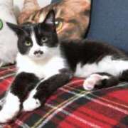 ヒメ日記 2025/12/10 04:02 投稿 海音【あまね】 丸妻 西船橋店