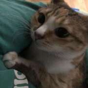 ヒメ日記 2025/12/10 08:07 投稿 海音【あまね】 丸妻 西船橋店