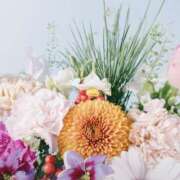 ヒメ日記 2025/12/14 17:16 投稿 海音【あまね】 丸妻 西船橋店