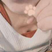 ヒメ日記 2025/12/16 09:09 投稿 海音【あまね】 丸妻 西船橋店