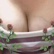 ヒメ日記 2025/12/23 06:59 投稿 海音【あまね】 丸妻 西船橋店