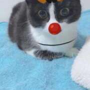 ヒメ日記 2025/12/25 05:11 投稿 海音【あまね】 丸妻 西船橋店