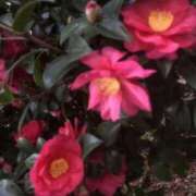 ヒメ日記 2025/12/28 17:08 投稿 海音【あまね】 丸妻 西船橋店