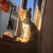 ヒメ日記 2025/12/31 11:10 投稿 海音【あまね】 丸妻 西船橋店