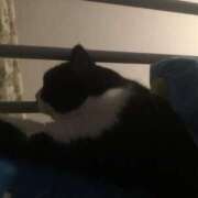 ヒメ日記 2026/01/08 21:19 投稿 海音【あまね】 丸妻 西船橋店